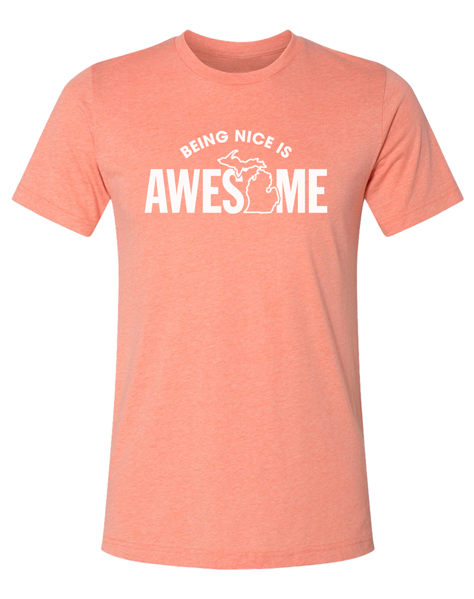 Being Nice is Awesome T-Shirt – Michigan