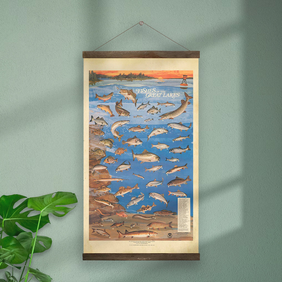 Fishes of the Great Lakes Hanging Print