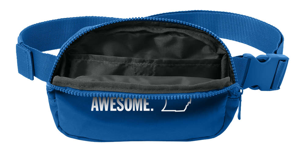 Michigan Awesome Hip Pack