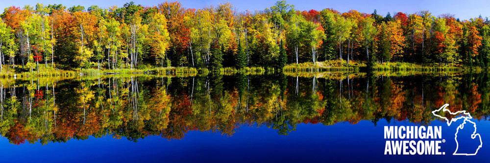 Colorful Fall Reflection Panoramic Print