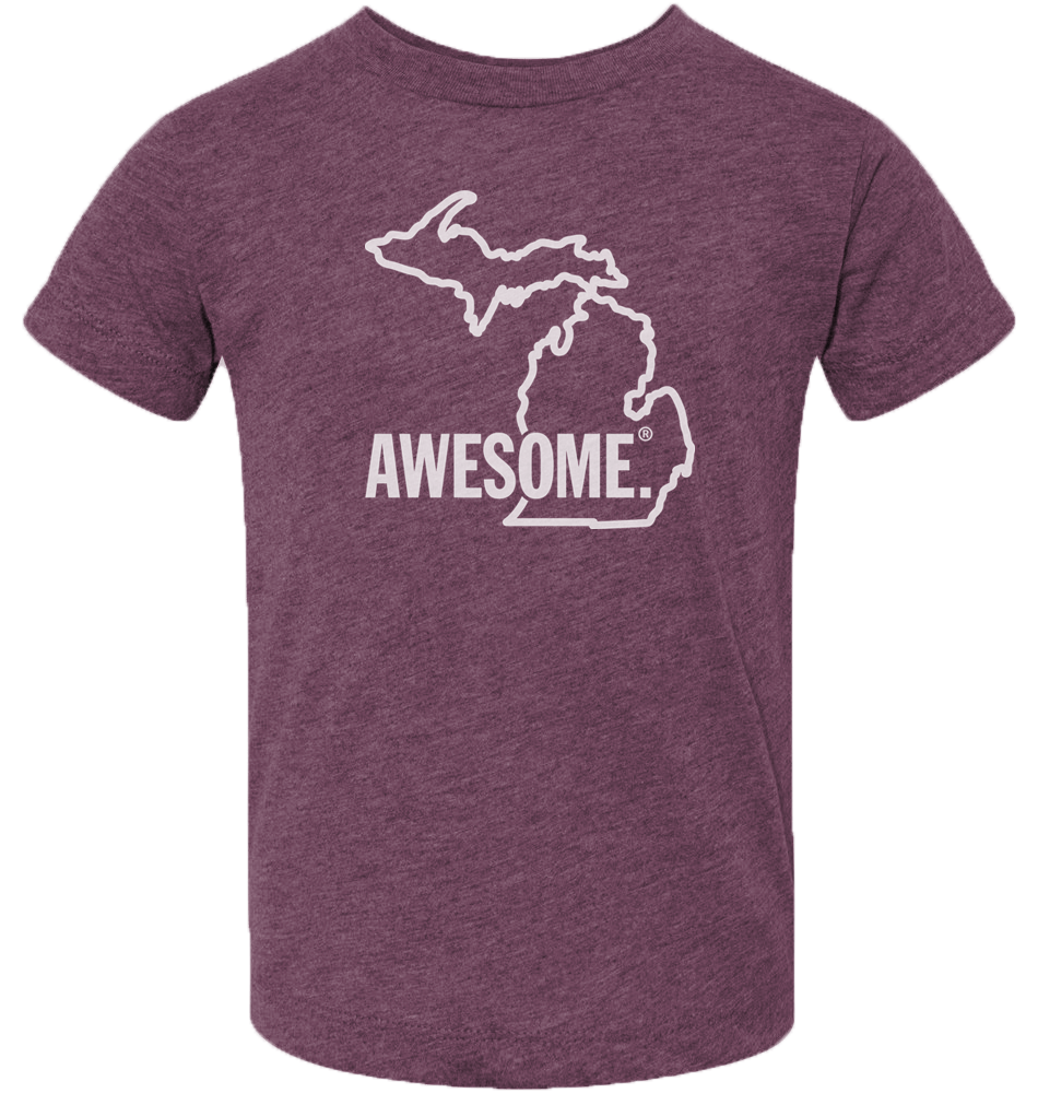 Michigan Awesome State Outline Kids T-Shirt