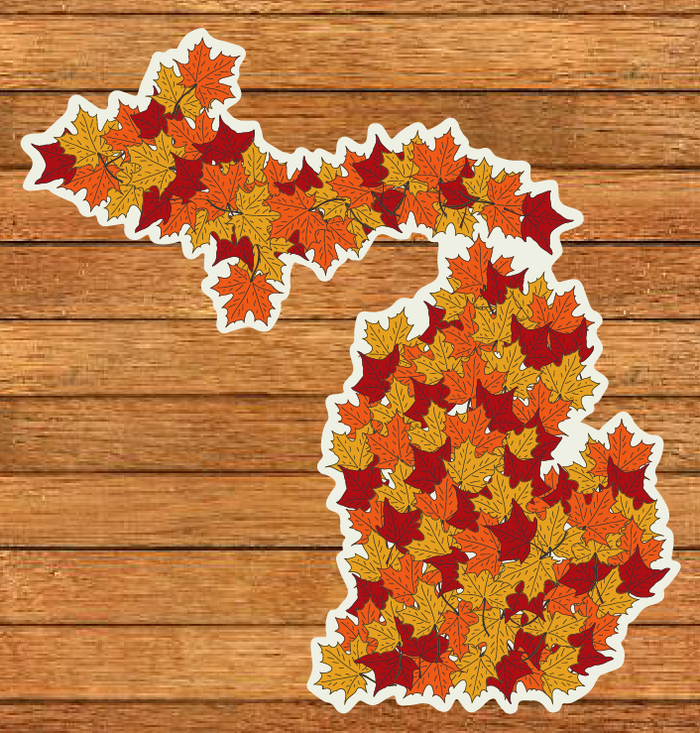 Michigan Patterns Die-Cut Sticker (CLOSEOUT) – Michigan Awesome