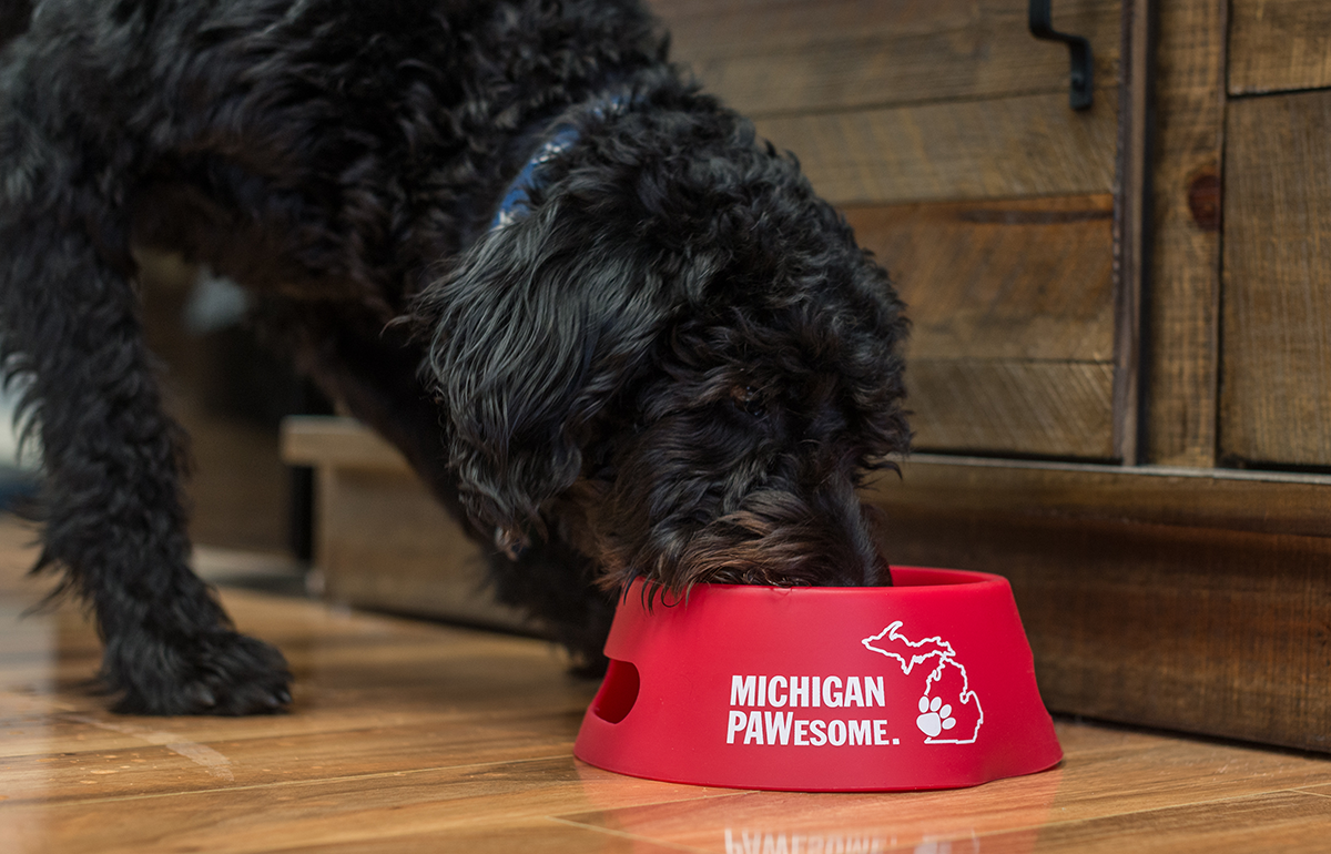 Michigan PAWesome Sili Dog Bowl
